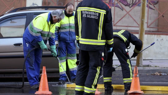 Los bomberos durante el rescate del feto Los bomberos durante el rescate del feto