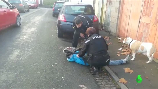 Frame 21.783655 de: bristol Frame 21.783655 de: bristol