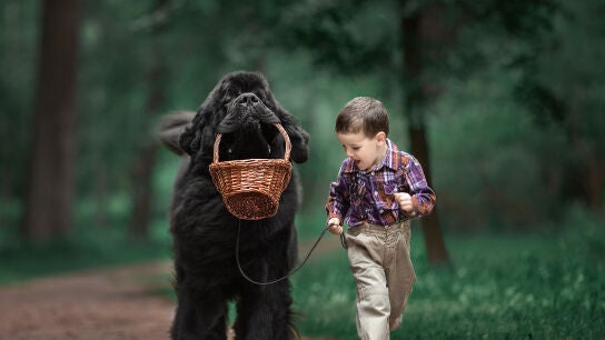 Imagen de la ser&iacute;a fotogr&aacute;fica 'Ni&ntilde;os peque&ntilde;os y sus perros grandes'