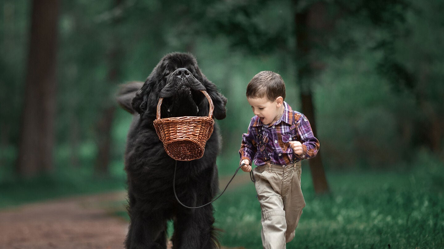 Imagen de la ser&iacute;a fotogr&aacute;fica 'Ni&ntilde;os peque&ntilde;os y sus perros grandes'