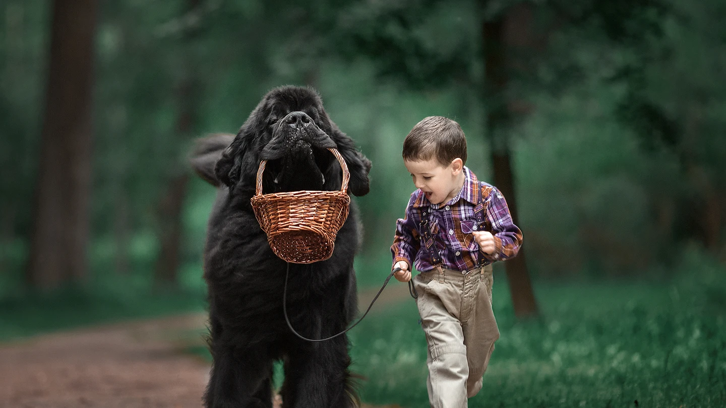 Imagen de la sería fotográfica 'Niños pequeños y sus perros grandes' Imagen de la sería fotográfica 'Niños pequeños y sus perros grandes'