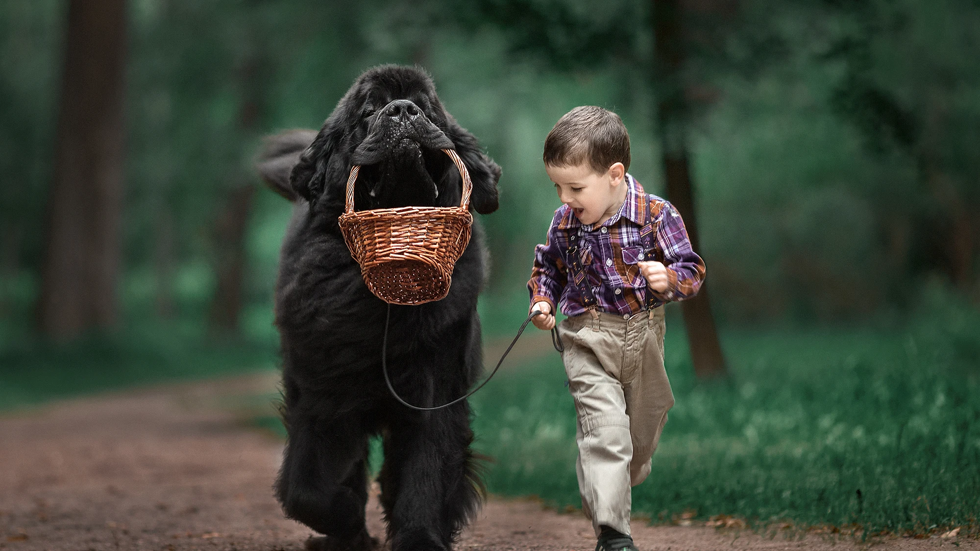Imagen de la sería fotográfica 'Niños pequeños y sus perros grandes'