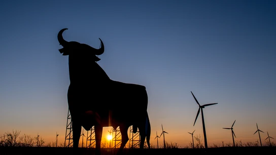 Toro de Osborne Toro de Osborne