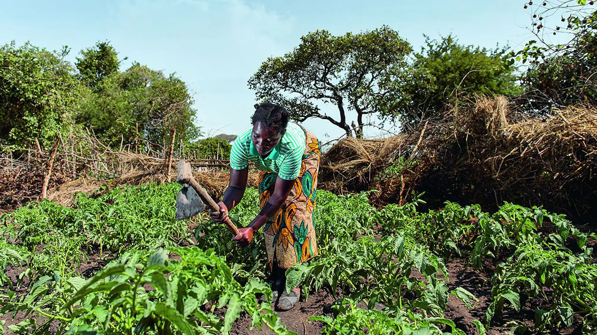 Mujer africana realizando tareas agrícolas.