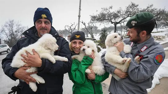 Miembros del equipo de rescate muestran tres cachorros de perro rescatados de entre las ruinas del hotel Rigopiano Miembros del equipo de rescate muestran tres cachorros de perro rescatados de entre las ruinas del hotel Rigopiano