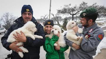Miembros del equipo de rescate muestran tres cachorros de perro rescatados de entre las ruinas del hotel Rigopiano