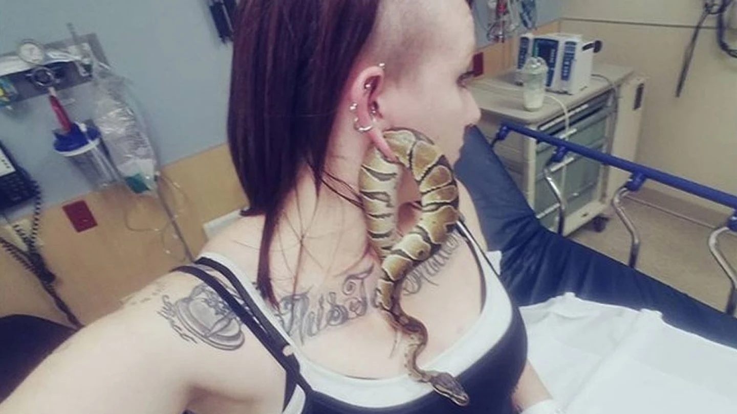 Serpiente atrapada en la oreja de Ashley Glawe Serpiente atrapada en la oreja de Ashley Glawe