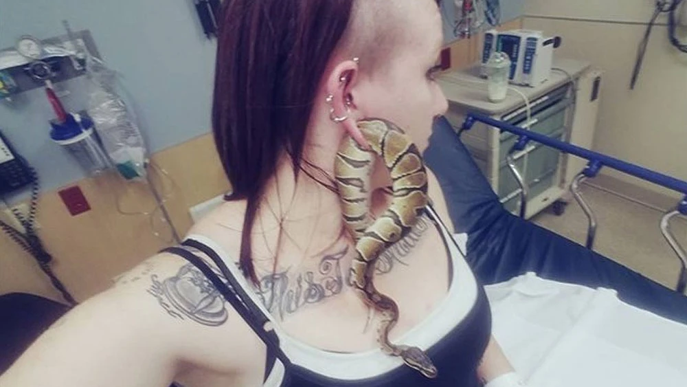 Serpiente atrapada en la oreja de Ashley Glawe