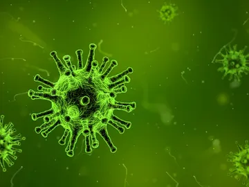 Virus Virus