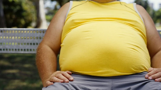 Desactivan una IA por sus peligrosas recomendaciones Imagen de archivo de un hombre obeso