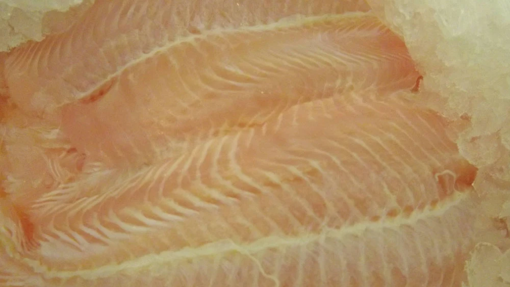 Imagen de archivo de varios filetes de panga