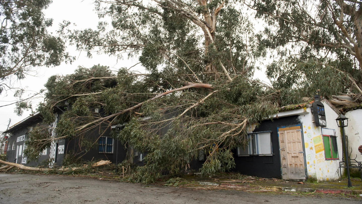Un árbol cae sobre una capilla en Galicia a causa del temporal Un árbol cae sobre una capilla en Galicia a causa del temporal