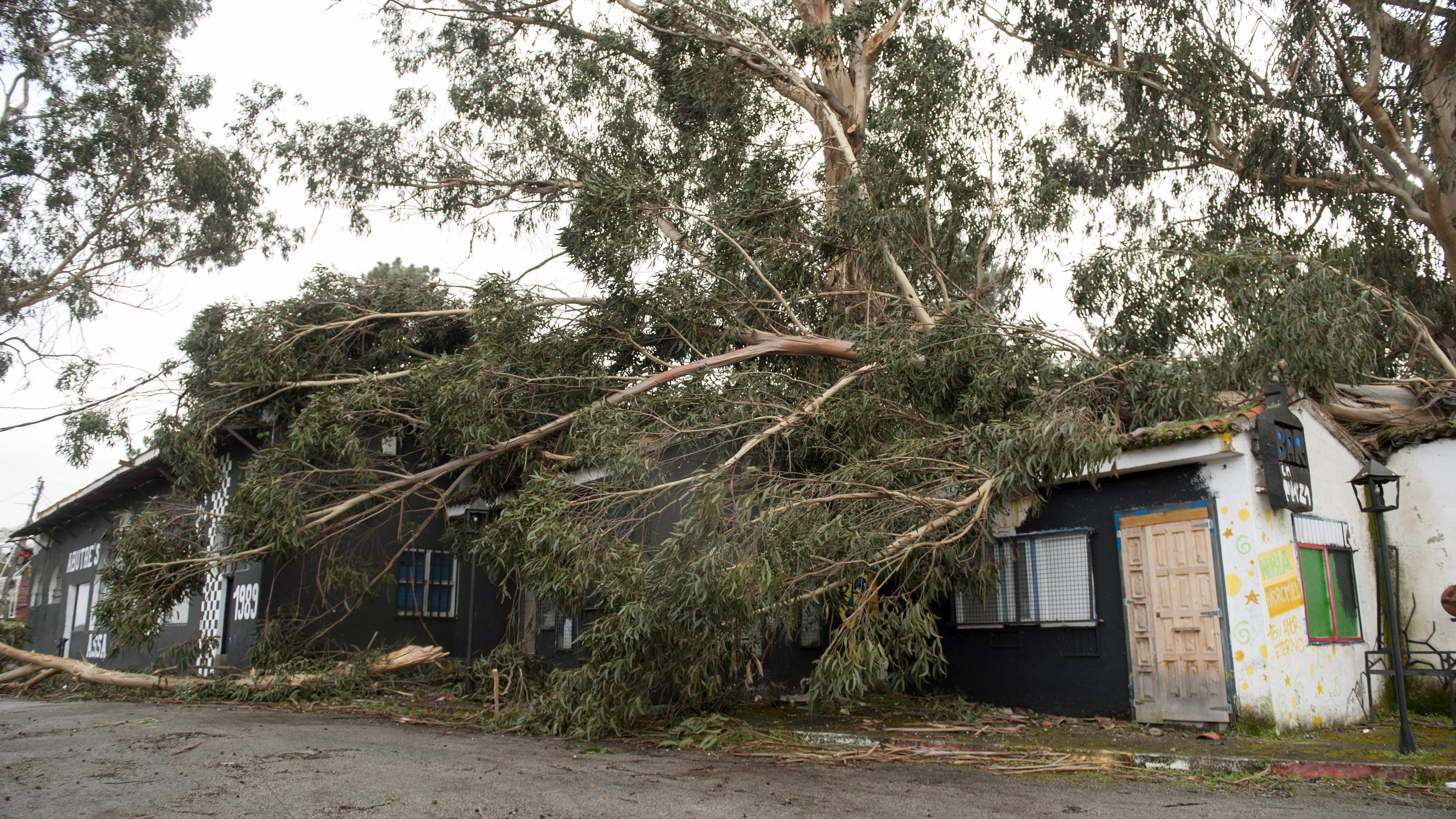 Un árbol cae sobre una capilla en Galicia a causa del temporal