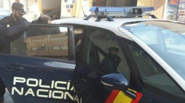 El detenido es introducido en el coche policial. 