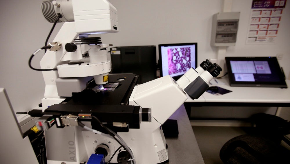Microscopio láser que da información concreta sobre células tumorales"del Servicio de Patología Molecular Comparada de Salamanca