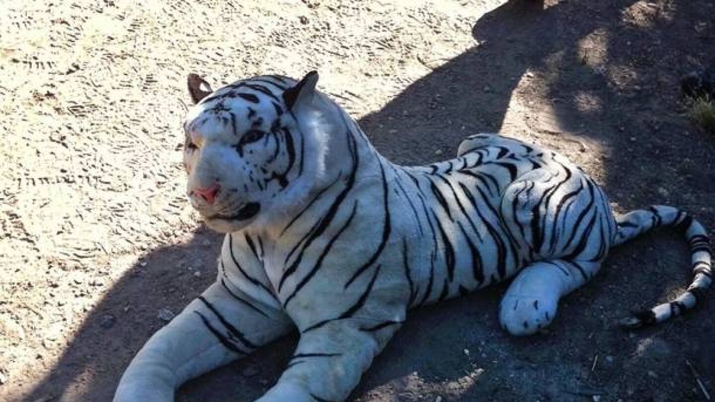 Tigre blanco de peluche