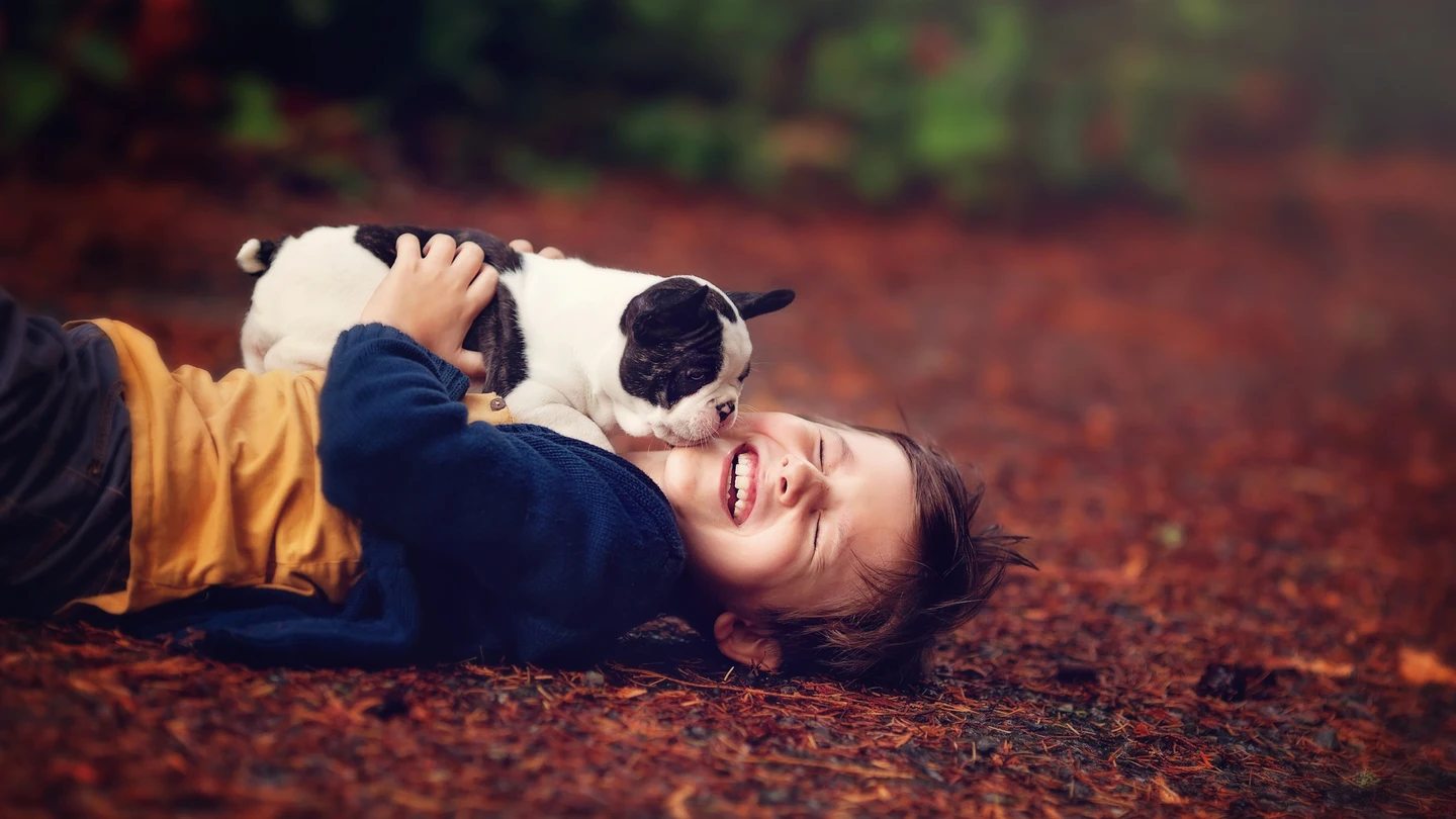 Imagen de archivo de un niño con su perro Un niño con su perro