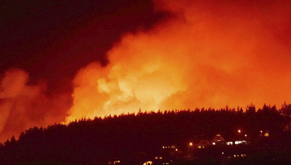 Incendio forestal en Nueva Zelanda