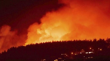 Incendio forestal en Nueva Zelanda
