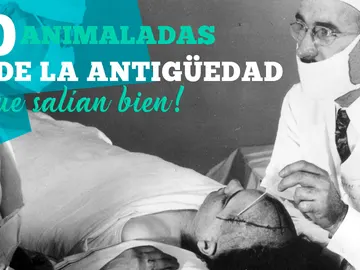Curiositips Ciencia y Tecno - 10 Animaladas que se hacían en la antigüedad y… ¡Les salía bien! Curiositips Ciencia y Tecno - 10 Animaladas que se hacían en la antigüedad y… ¡Les salía bien!
