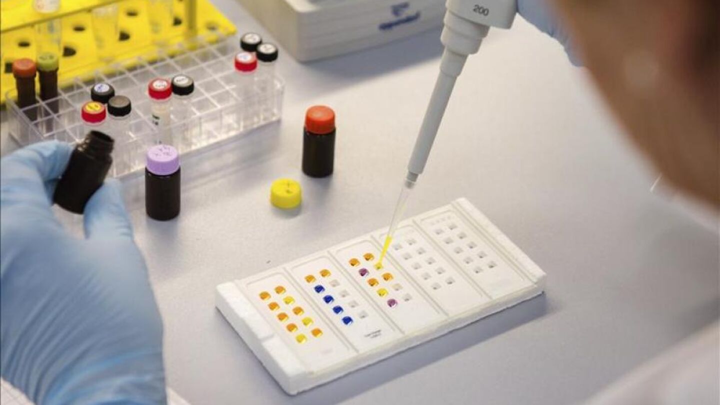 Investigaci&oacute;n