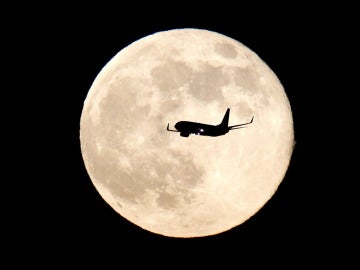 Los turistas espaciales podrán sobrevolar la Luna dentro de 5 años Los turistas espaciales podrán sobrevolar la Luna dentro de 5 años