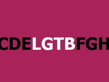 Las siglas LGTB surgieron en los 90 en EEUU. Las siglas LGTB surgieron en los 90 en EEUU.