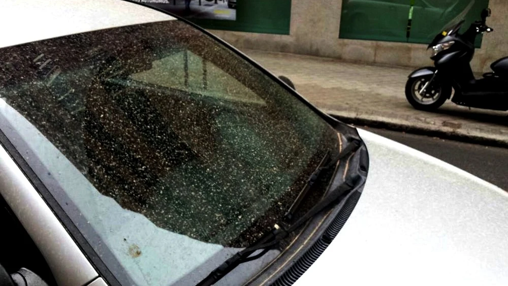 Coche sobre el que ha caído una lluvia de barro