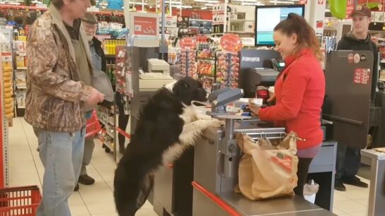 Hali pagando en la caja