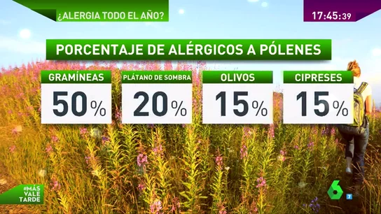 Frame 79.047473 de: alergias Frame 79.047473 de: alergias