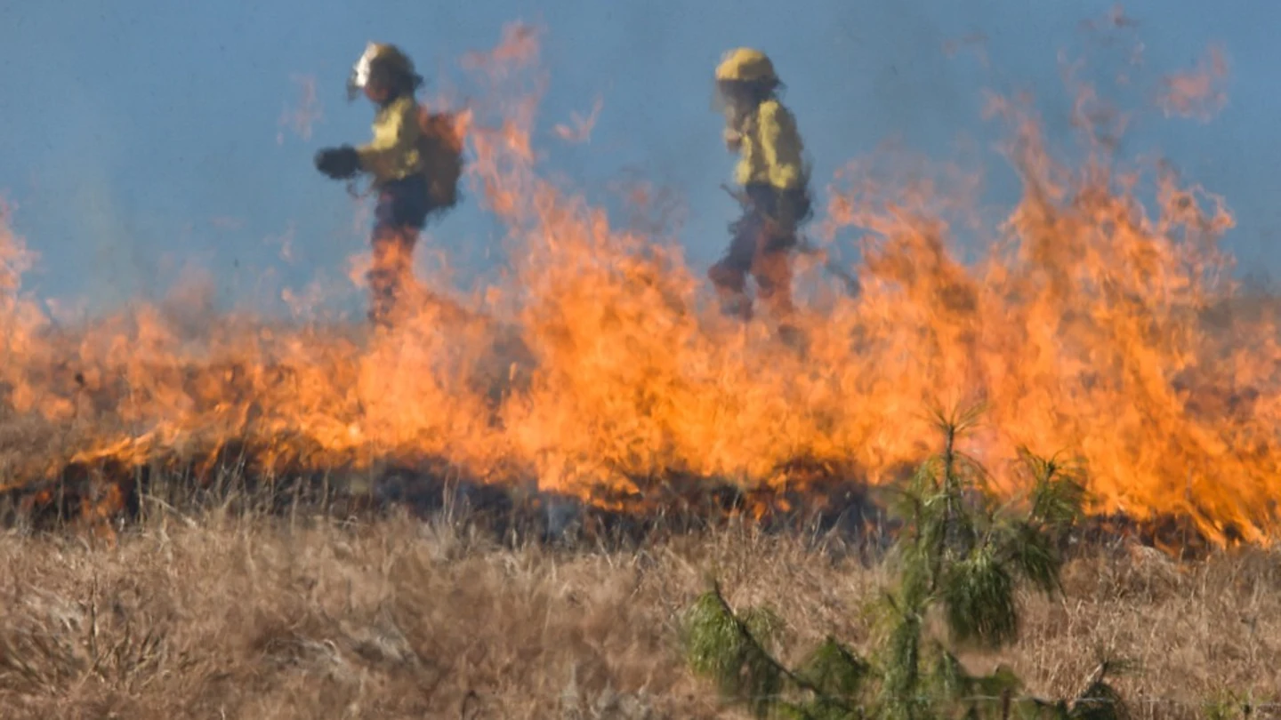 El cambio climático aumentará los incendios forestales en Europa en las próximas décadas El cambio climático aumentará los incendios forestales en Europa en las próximas décadas