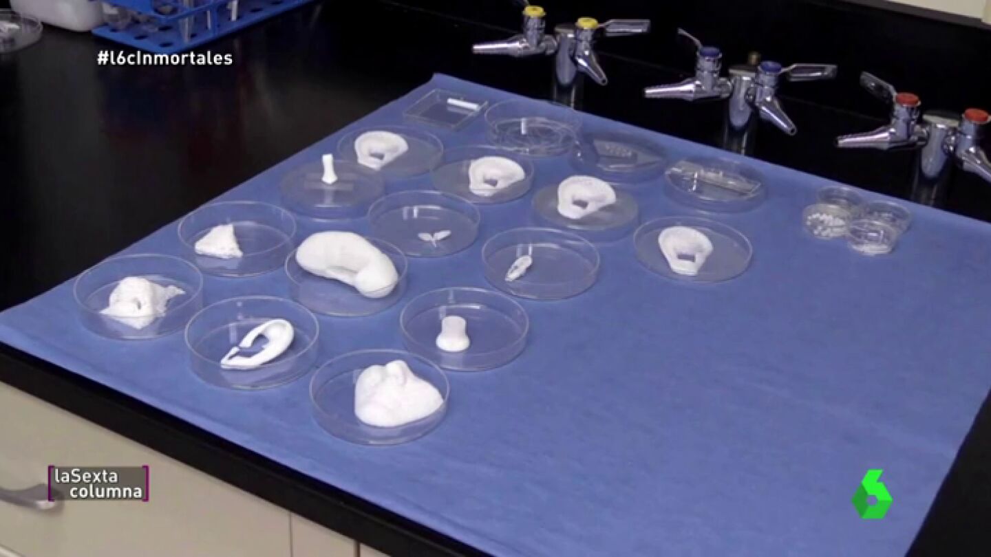 Frame 98.026042 de: La implantaci&oacute;n de &oacute;rganos artificiales, clave para lograr la 'inmortalidad': "Un coraz&oacute;n 3D podr&aacute; reemplazar el tuyo"