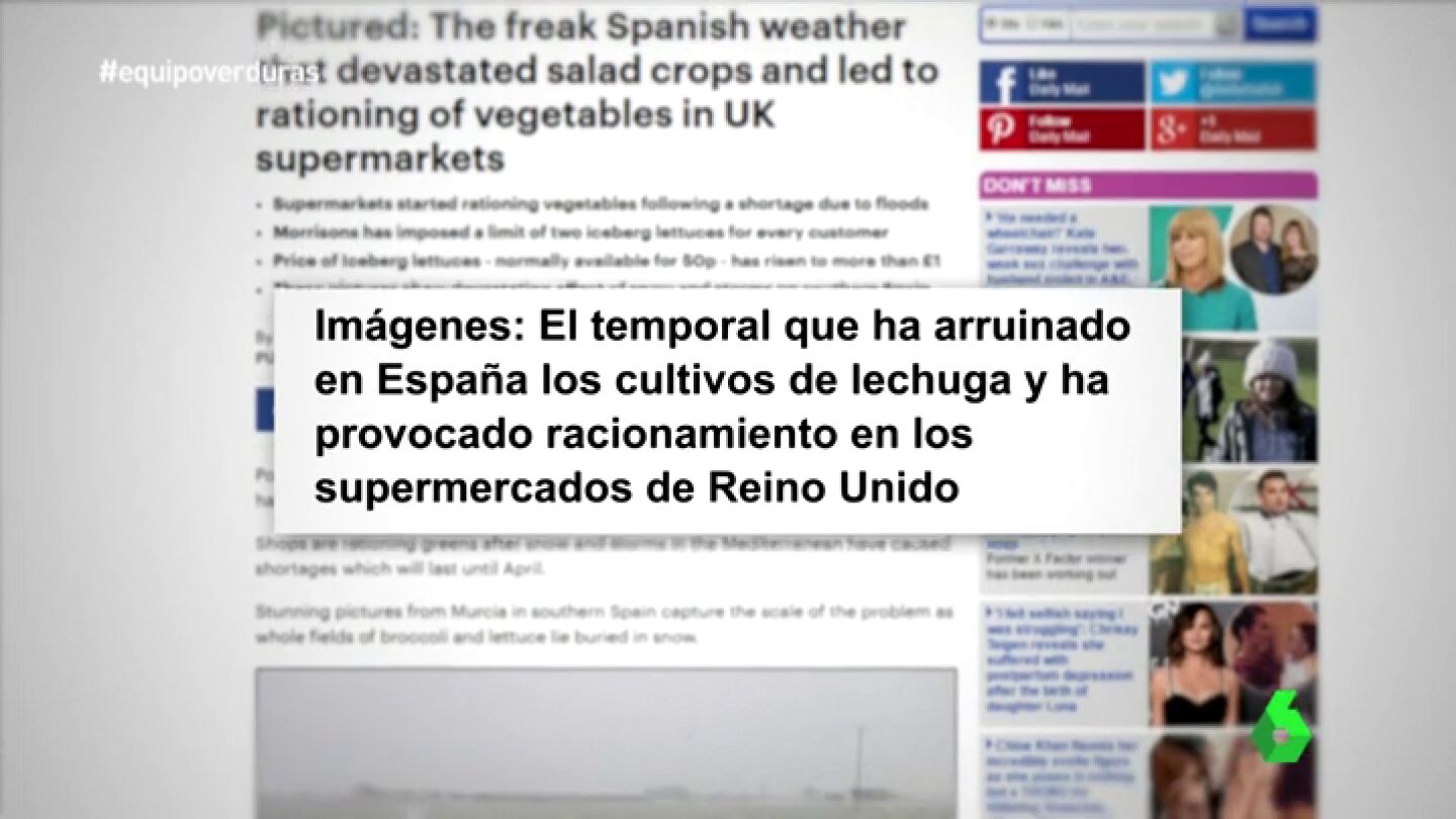 Frame 23.270147 de: La falta de verduras en Reino Unido provoca una 'crisis internacional' con Espa&ntilde;a: "Buscan un culpable y si es de fuera mejor"