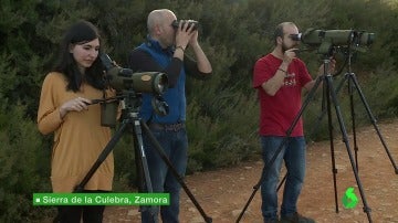 Frame 4.616119 de: Cientos de personas visitan cada año la sierra zamorana de la Culebra para ver al lobo en su hábitat: "No hay palabras"