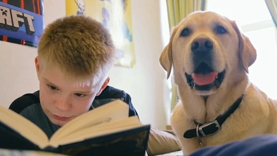 Un niño junto a su perro - Imagen de archivo Un niño de 13 años supera los problemas de autismo con la ayuda de su perro
