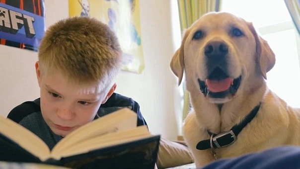 Un niño junto a su perro - Imagen de archivo Un niño de 13 años supera los problemas de autismo con la ayuda de su perro