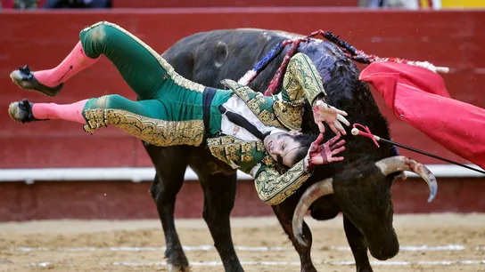 Juan José Padilla resulta cogido por "Hortensia", de la ganadería Fuente Ymbro Juan José Padilla resulta cogido por "Hortensia", de la ganadería Fuente Ymbro