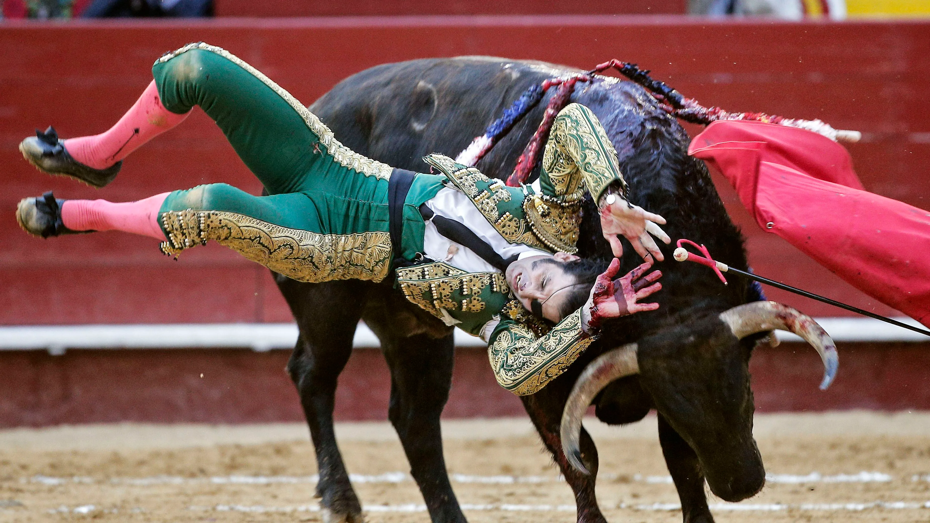 Juan José Padilla resulta cogido por "Hortensia", de la ganadería Fuente Ymbro