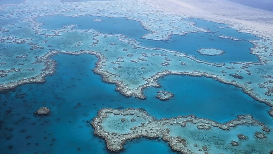 Gran Barrera de Coral