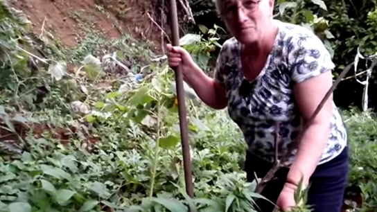 Maruxa y Carmen hablan sobre la marihuana marihuana