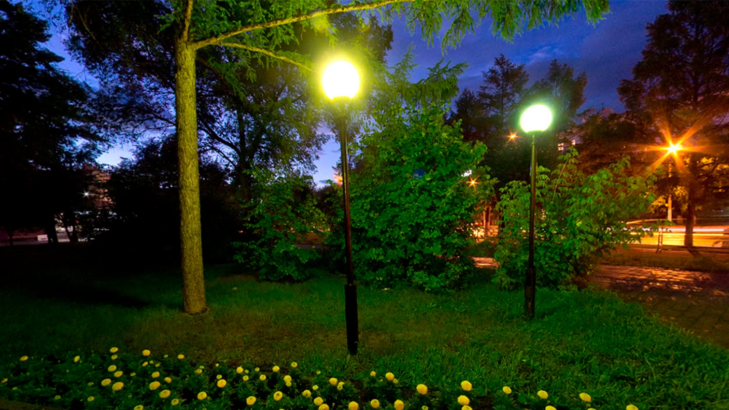 El parque de Komsomolsk del Amur El parque de Komsomolsk del Amur