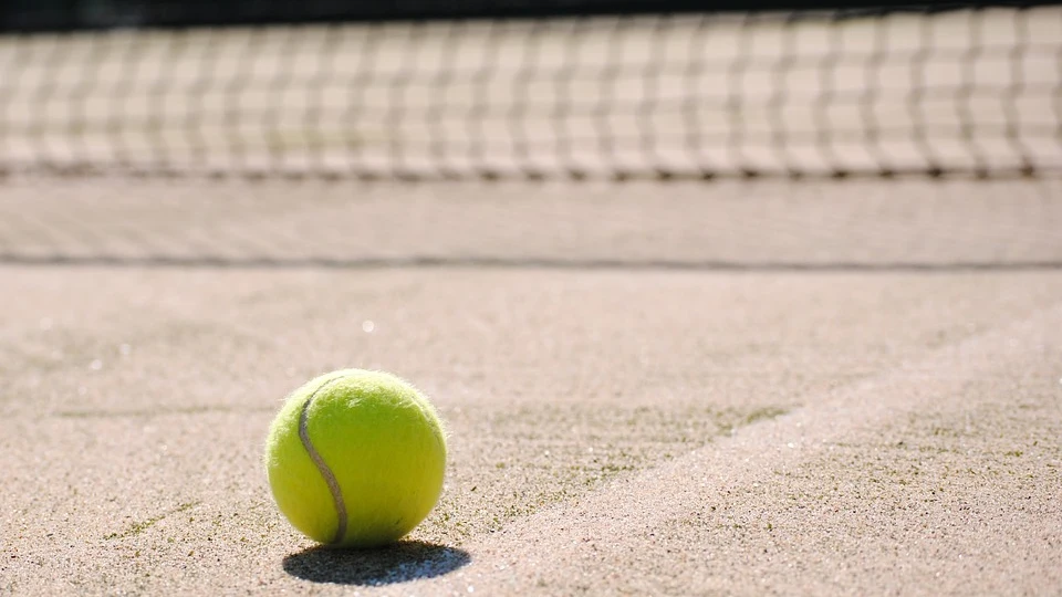 Pelota de tenis