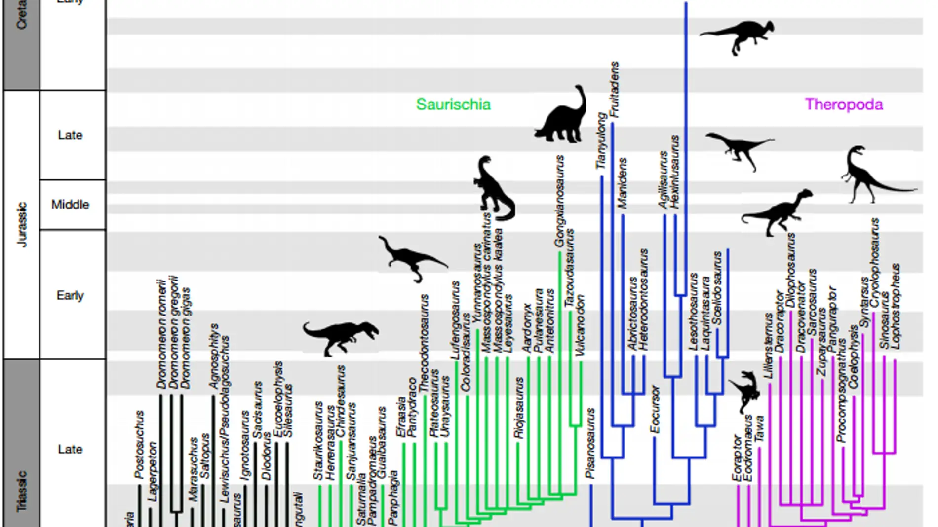 El arbol genealogico de los dinosaurios se reescribe