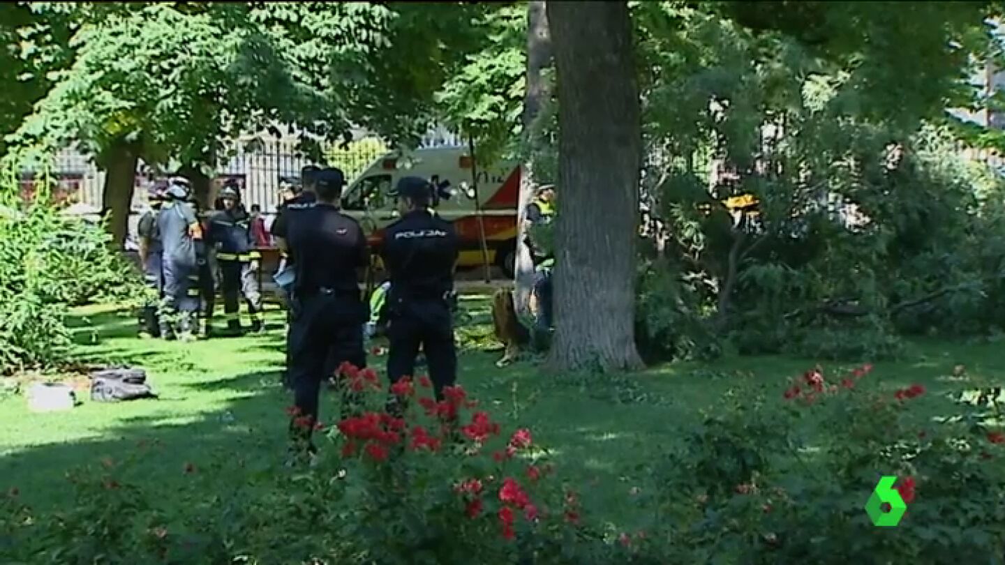 La Polic&iacute;a, en el parque del Retiro tras la ca&iacute;da de una rama de 400 kilos