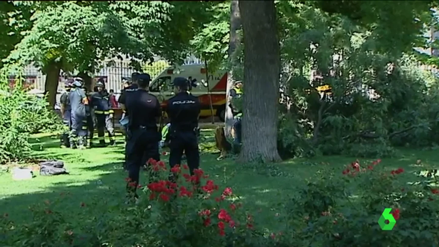 La Policía, en el parque del Retiro tras la caída de una rama de 400 kilos La Policía, en el parque del Retiro tras la caída de una rama de 400 kilos