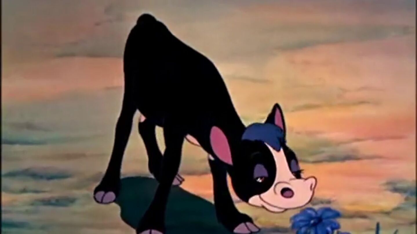 Frame 11.851483 de: Ferdinando, el toro que puso de los nervios a Franco y a Hitler por su rechazo al toreo, vuelve al cine 78 a&ntilde;os despu&eacute;s