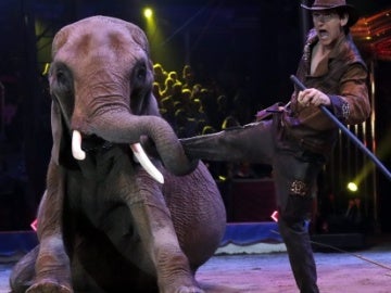 Imagen de un circo con animales Imagen de un circo con animales
