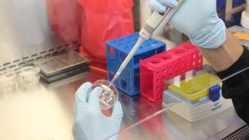 Ciencia en el laboratorio