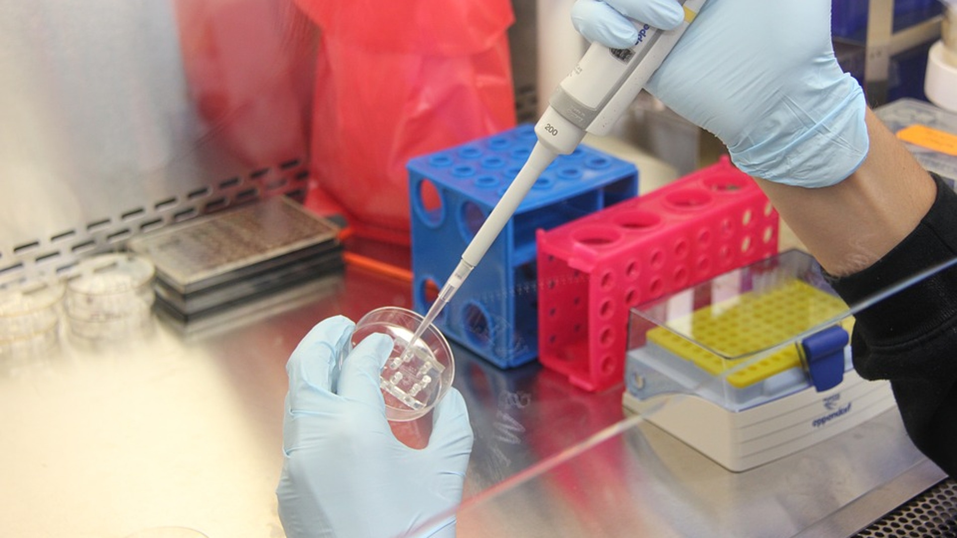 Ciencia en el laboratorio