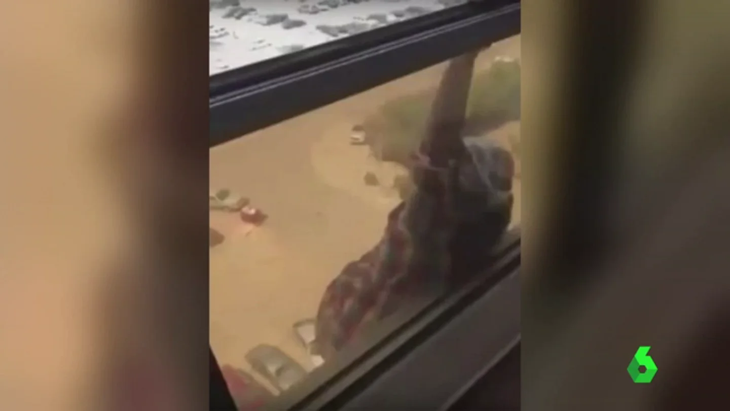 Imagen del vídeo que muestra la caída de la empleada del hogar Imagen del vídeo que muestra la caída de la empleada del hogar